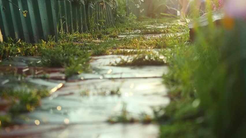 Wet boy runs in the garden path among beautiful flowers enjoy nature and outdoors on summer day in slow motion during sunset. 1920x1080