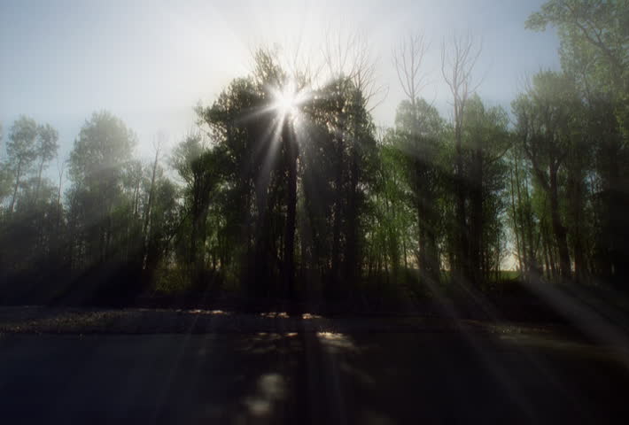 Time-lapse sun rays through trees along a riverbank
