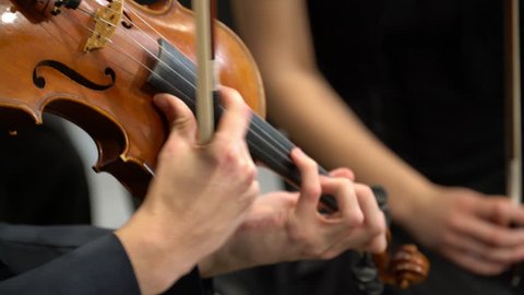 Close-up of professional musician playing violin pizzicato, classic music, symphony orchestra