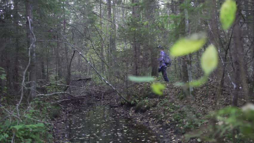 Forest, swamp, traveler going through swamp