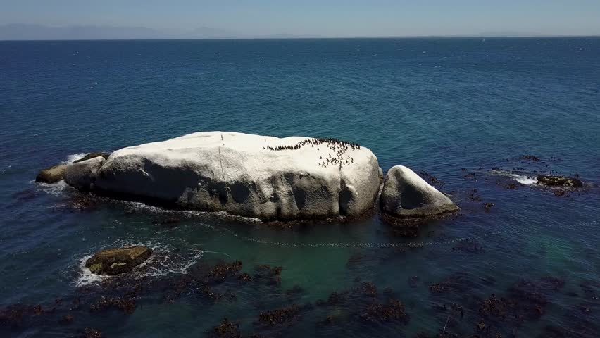 Aerial over rock located in sea and on the rock a large population of small penguin on horizon only the quiet sea is seen and furthermore the group of birds walking around on the sun warmed rock 4k