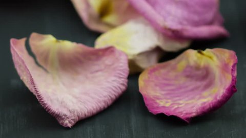 Slide shot of dried rose petals on wooden background