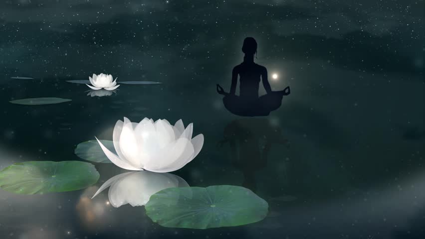 lotus meditation