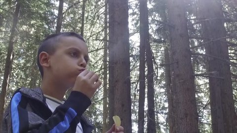 Insatiable and hungry boy eating a patato chips eagerly, SLOW MOTION