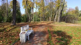 White bench and metal tunnel from grid in falling maple leaves near trees in park, mobile phone video.
