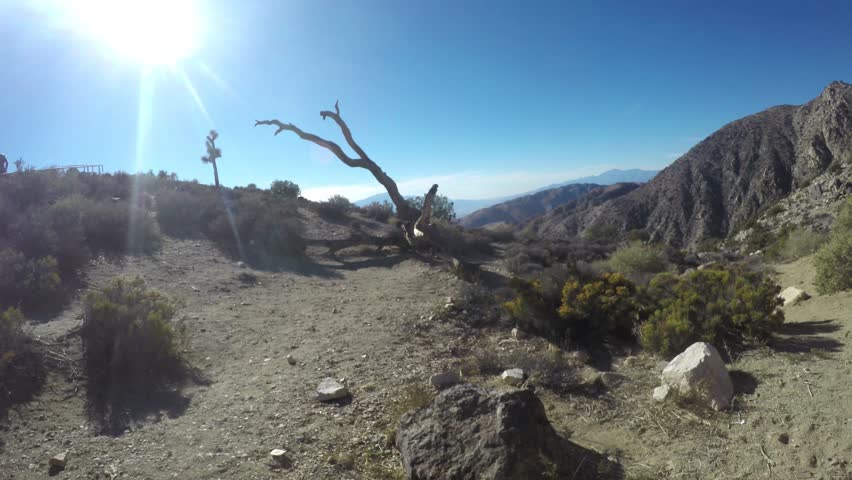 Keys view, Pan time lapse of people at the keys view, in Joshua tree national park, on a sunny autumn day, in California, United states of america