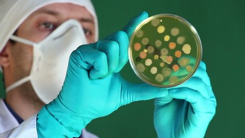 Laboratory technician  is holding in glowed hand an opened  glass petri dish and counts bacterial colonies growing on agar surface.  Camera is locked down.   Focus on meat-peptone agar surface.