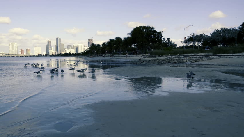 Miami Key Biscayne Beach looking over downtown skyline