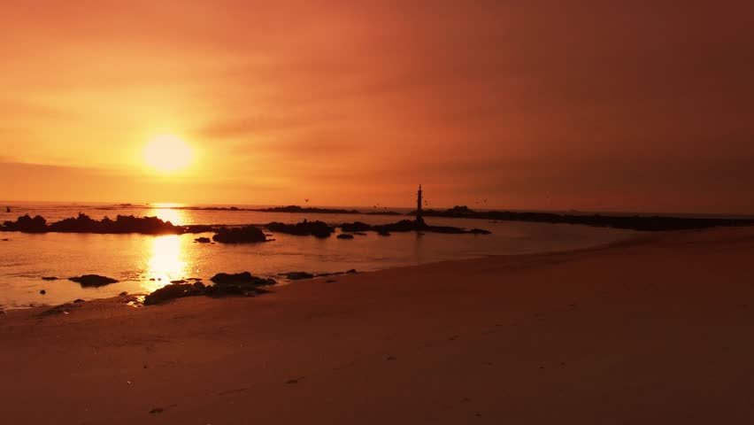 Flight Beautiful Portugal Beach at Sunset With Many Birds
Aerial View made by Professional Drone