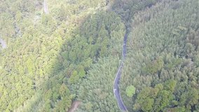 DJI MAVIC 4K Taiwan Chiayi Aerial Drone Video Dadongshan Forest Trail 20170318 