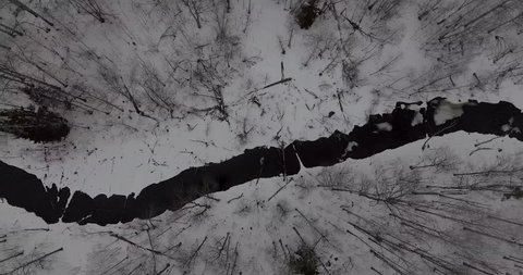 Aerial view of snowy trees and a black river water. 