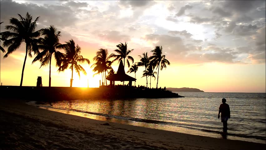 Silhouettes of coconut palm trees and people during sunset in Kota Kinabalu Sabah Borneo, Malaysia. 