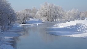 Altai river Talitsa with reflection of willow trees covered by hoarfrost in water in winter, Siberia, Russia
