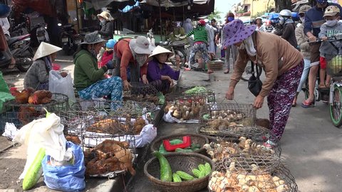 Hoi An, Vietnam - February 15, 2016: Market in Hoi An, Quang Nam, Viet Nam