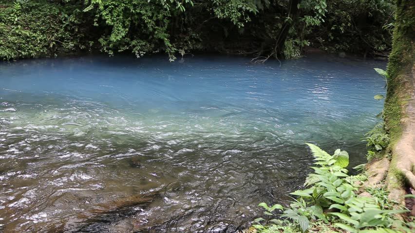 Beautiful jungle river