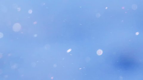 Unique abstract winter background with particle flow, defocussed snowflakes in the morning