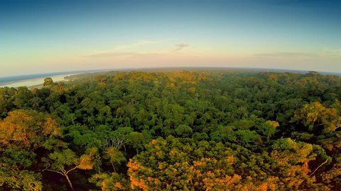 Aerial Shot Of Amazon Rainforest at Sunset
