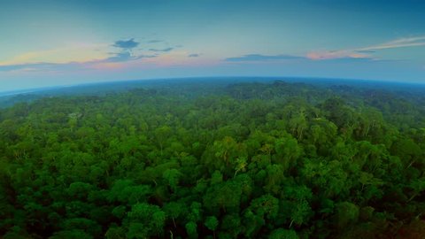 Aerial Shot Of Amazon Rainforest at Twilight