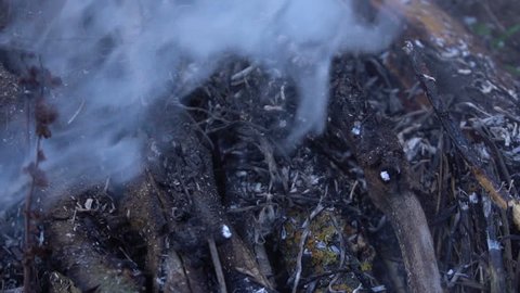 Steaming burnt grass. Consequences of a fire. Slow motion