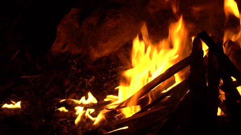 Burning dry wood. Slow motion