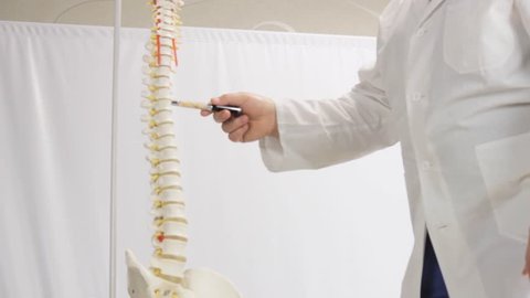 Doctor describes the layout of the human spine