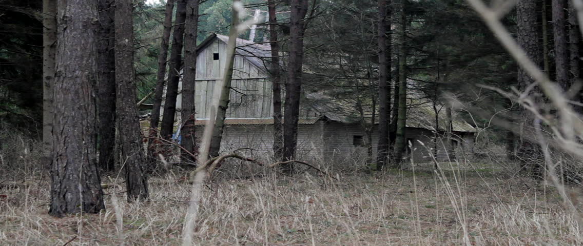 Old country house in the woods