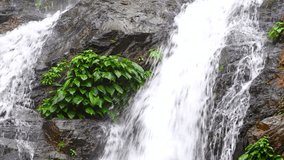 Majestic Waterfall, Tamaraw Falls, Mindoro Island Philippines, 4k