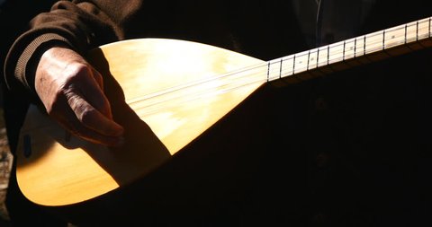 close-up of man's hands playing old vintage lute string instrument
