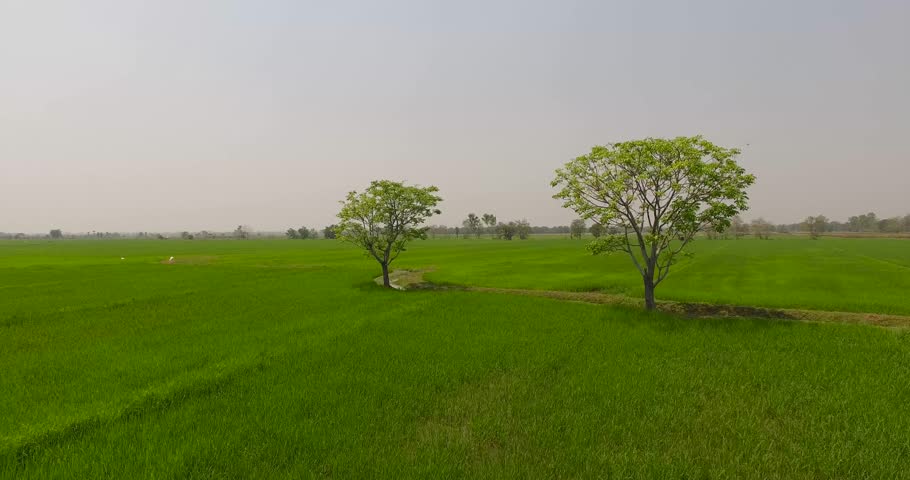 Aerial View Above Thailand Landscapes Beautiful Stock Footage Video 