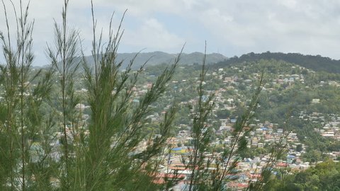 CASTRIES, ST. LUCIA-MARCH 2, 2017: Establishing shot-Vegetation blows in foreground houses and homes cover hillside above Castries harbor in Caribbean island St. Lucia