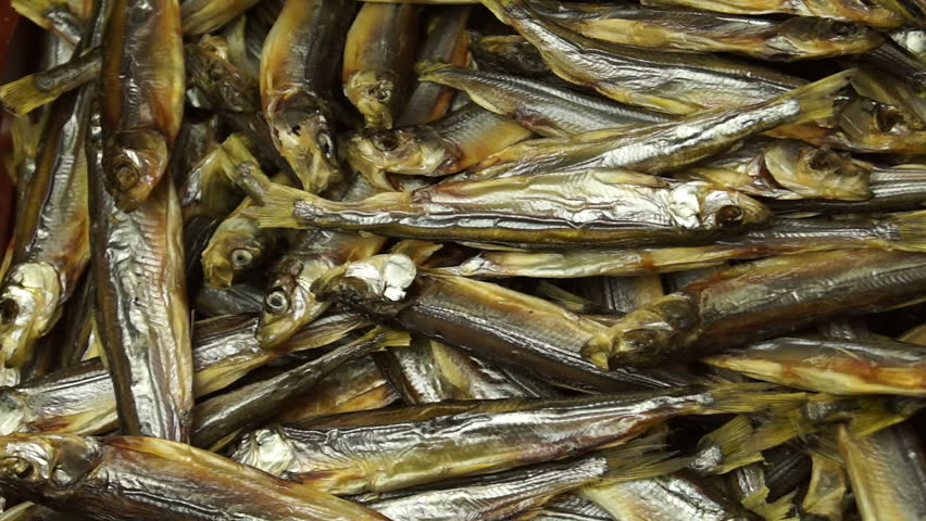 A large number of small dried fish, shooting from left to right.