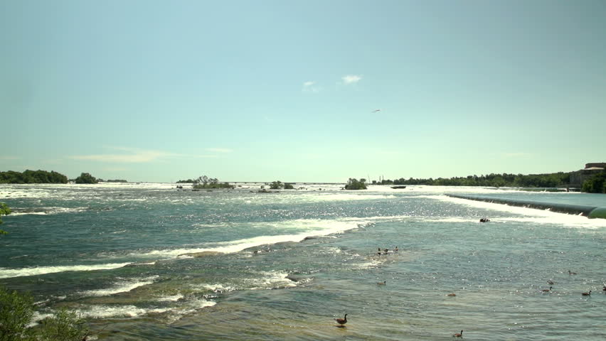 White Water at the Niagara River, looking upstream.