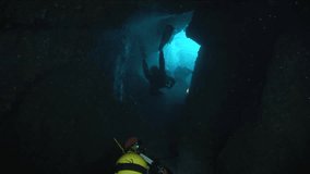 cave diving underwater fish and scuba divers