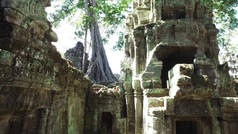 Tree on the ruins of Ta Prohm temple at Angkor Wat complex in Cambodia.