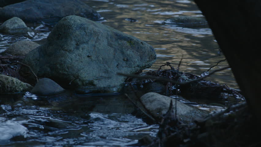 Pan down from flowing stream across closely examined abstract patterns in ice on the shore of a stream