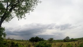 Time Lapse Storm, rolling over the African savanna and then clearing.