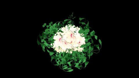 Blooming White Flowers and Leaves Animation Graphic Element. Alpha Channel included.