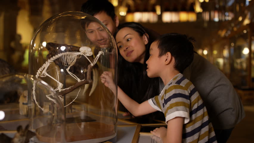 4K Asian family in natural history museum looking at a skeleton inside glass jar