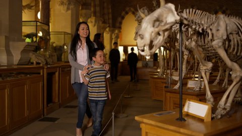4K Mother & son looking at dinosaur skeleton in natural history museum