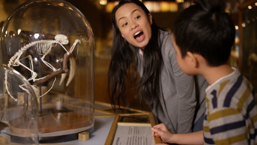 4K Mother & son in natural history museum looking at a skeleton inside glass jar