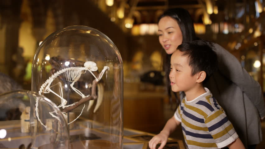 4K Mother & son in natural history museum looking at a skeleton inside glass jar