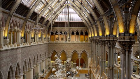 4K View of interior architecture & dinosaur exhibits in Natural History museum
