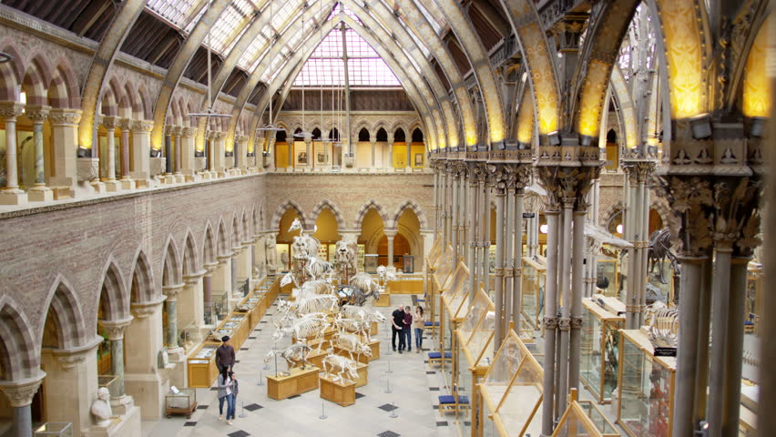 4K View of interior architecture, visitors & exhibits in Natural History museum