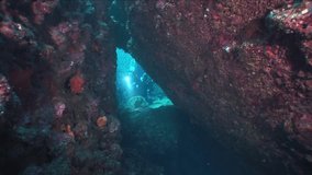 scuba divers exploring caves underwater