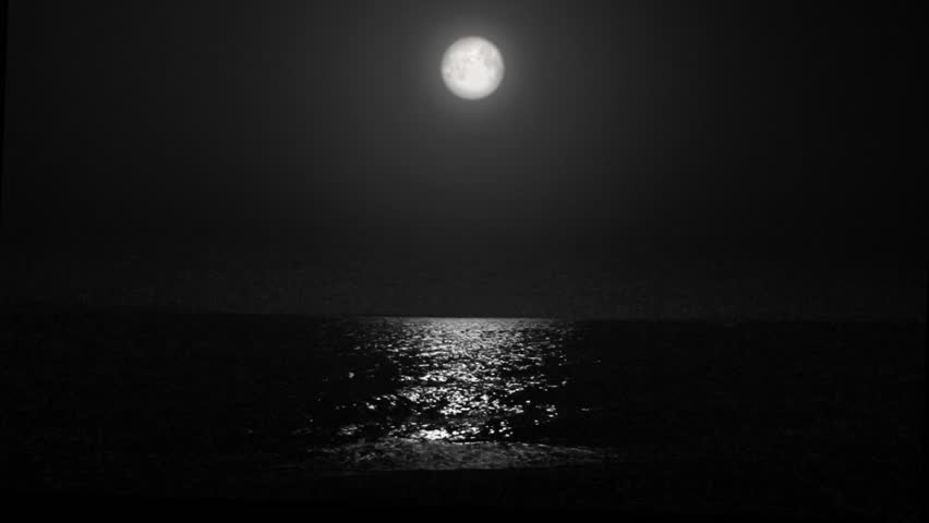 night moon and moonbeam in sea