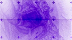 4k Abstract medical scientific research technology film background,big data scanning,insects genes explore,infectious diseases pet-CT,danger terror suspense crime backdrop. 7375_4k - Powered by Shutterstock - Get 15% off with code: PIKWIZARD15