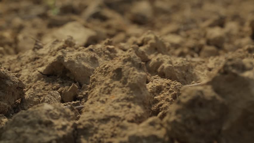 Soil Royalty-Free Stock Footage #25187972