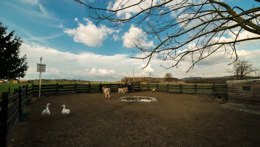 Late Afternoon on a Farm, Medvode - Slovenia/Time Lapse 4K