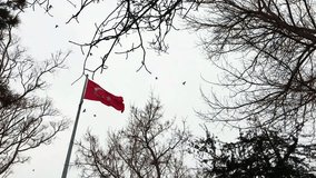 Turkish flag in a snowy day.