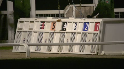 Side view of traps opening and all 6 dogs race out. high-speed
